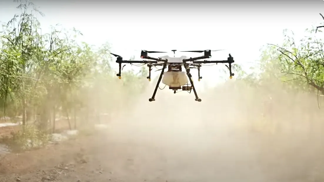 Moringa Farming using Drone