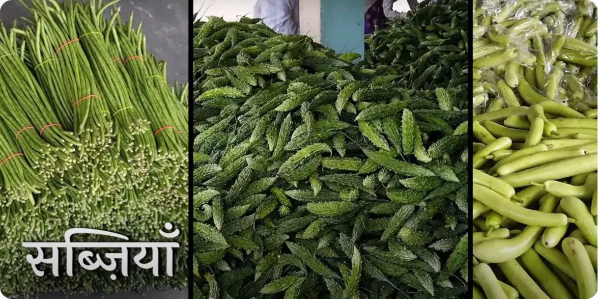 Vegetables at Janak Farm